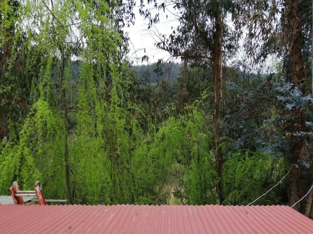 Hotel El Fogon De Rio Claro Extérieur photo